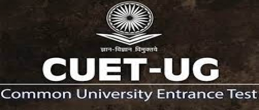 Expecting a Low Score in CUET UG 2024? Check Passing Marks