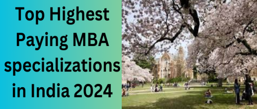 Top Highest Paying MBA specializations in India 2024