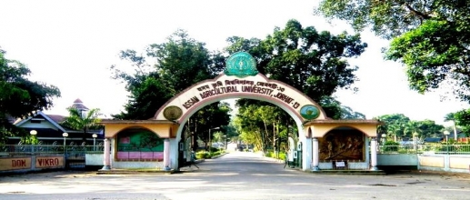 Assam Agricultural University Admission 2024 OPEN